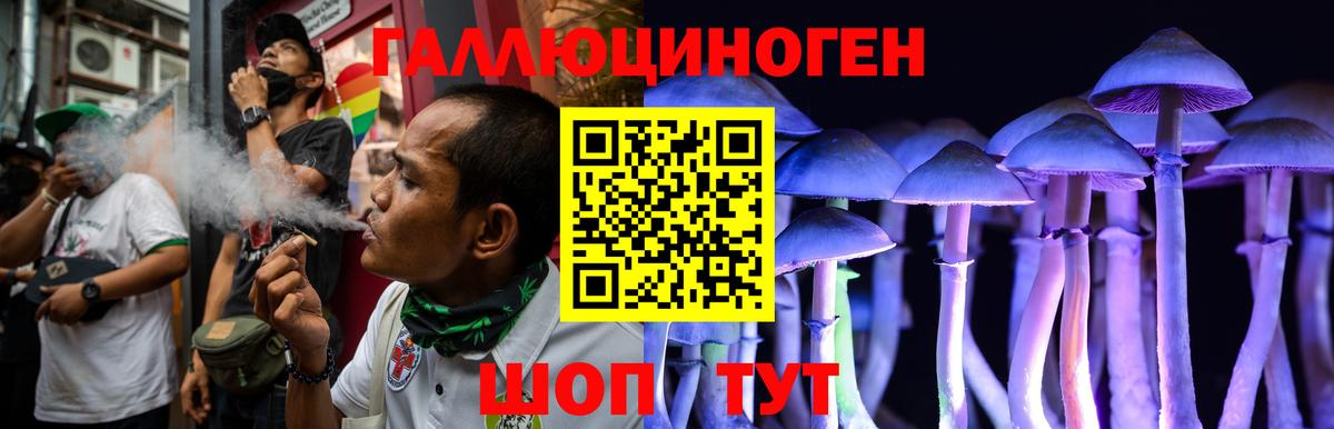 Выборг  Псилоцибиновые грибы мухоморы  Вход с VPN 